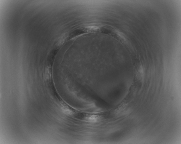 X0000067500467200604071231