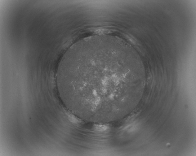 X0000067500469200604071231