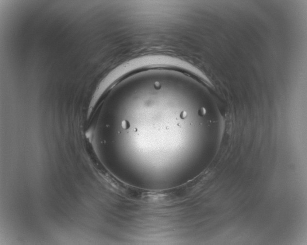 X0000067500472200604071231