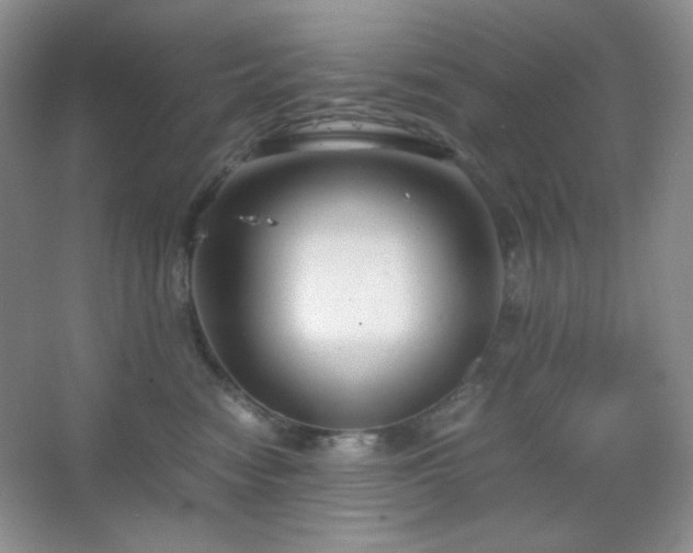 X0000067500474200604071231