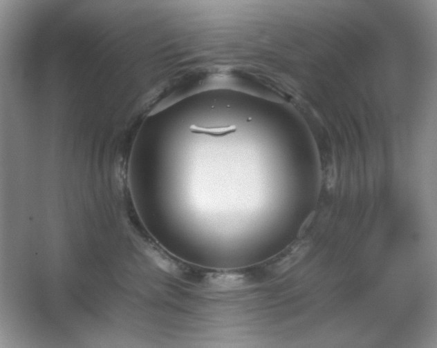 X0000067500476200604071231