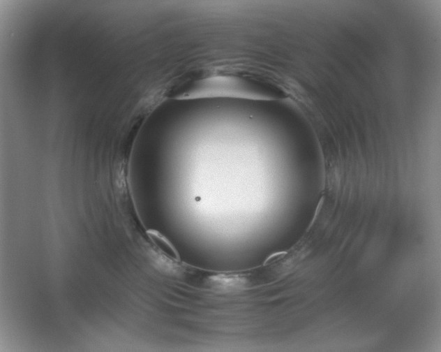 X0000067500477200604071231