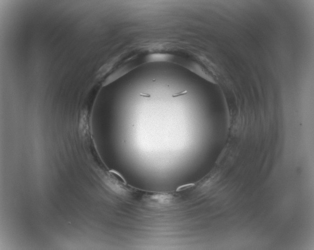 X0000067500478200604071231