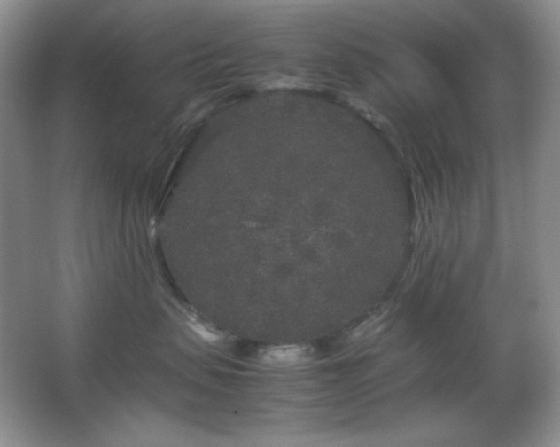 X0000067500479200604071231