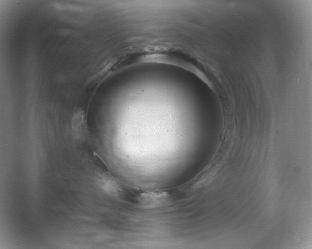 X0000067500480200604071231