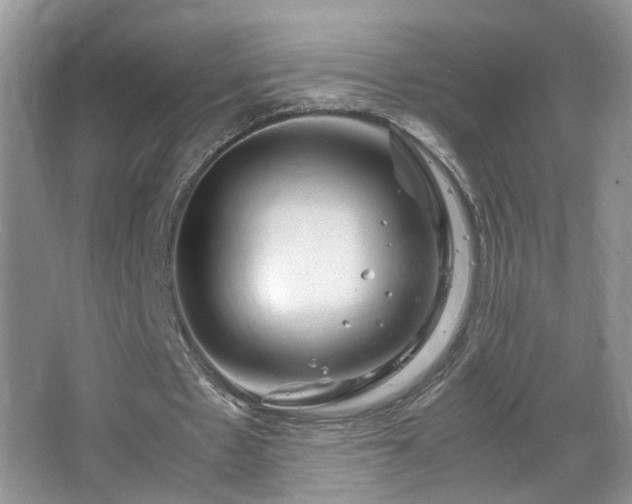 X0000067500481200604071230