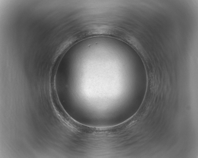 X0000067500482200604071230