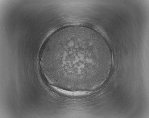 X0000067500483200604071230