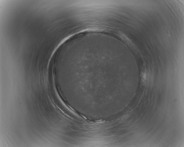 X0000067500484200604071230