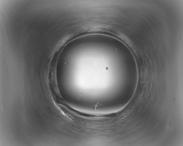 X0000067500485200604071230