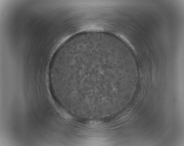 X0000067500487200604071230