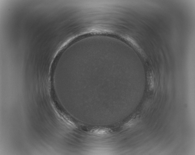 X0000067500488200604071230