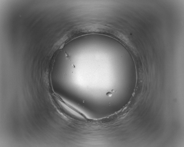 X0000067500489200604071230