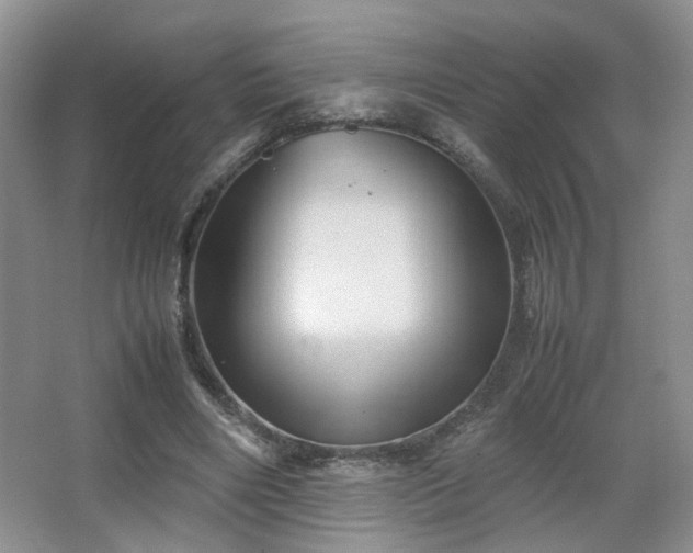 X0000067500490200604071230