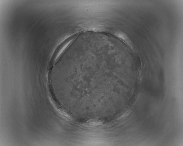 X0000067500491200604071230