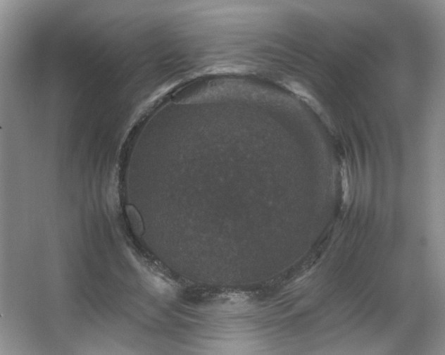 X0000067500492200604071230