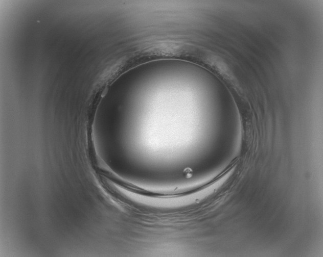 X0000067500493200604071230