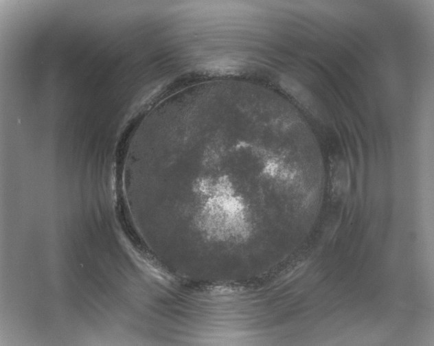 X0000067500494200604071230