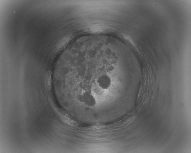 X0000067500495200604071230