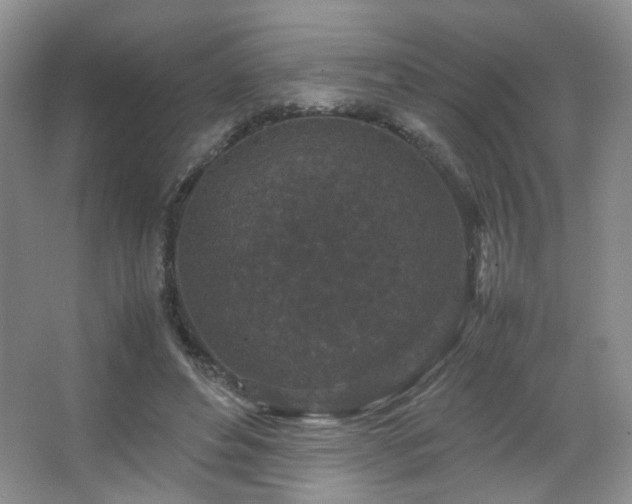 X0000067500496200604071230