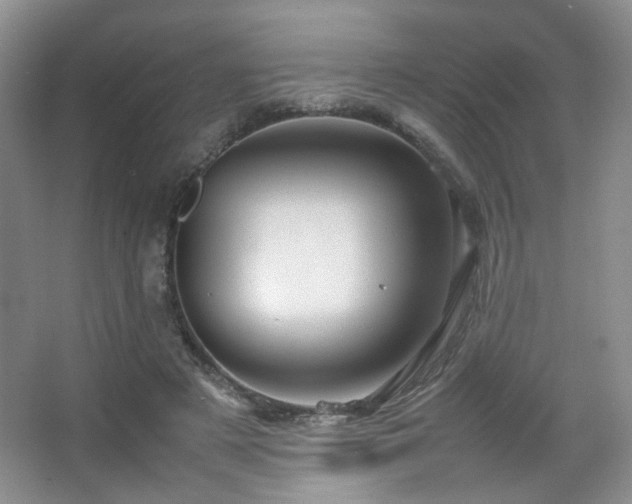 X0000067500497200604071230