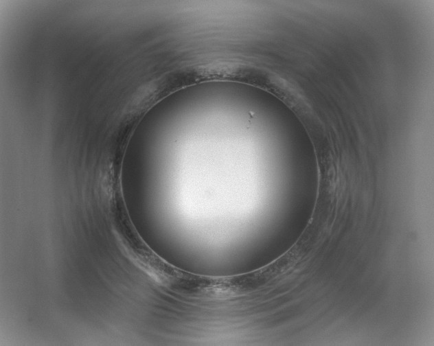 X0000067500498200604071230