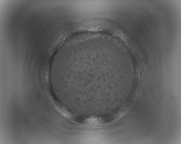 X0000067500499200604071230