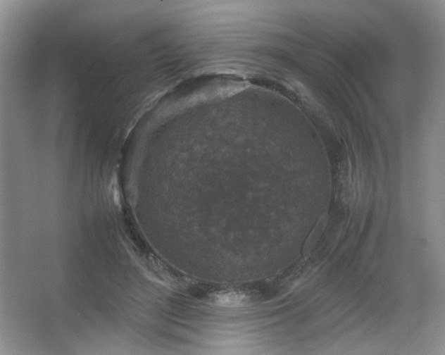 X0000067500500200604071230