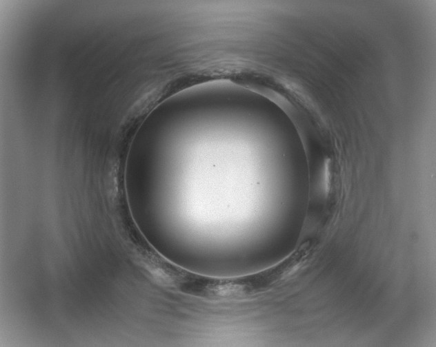 X0000067500501200604071230