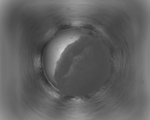 X0000067500502200604071230