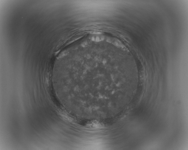 X0000067500503200604071230