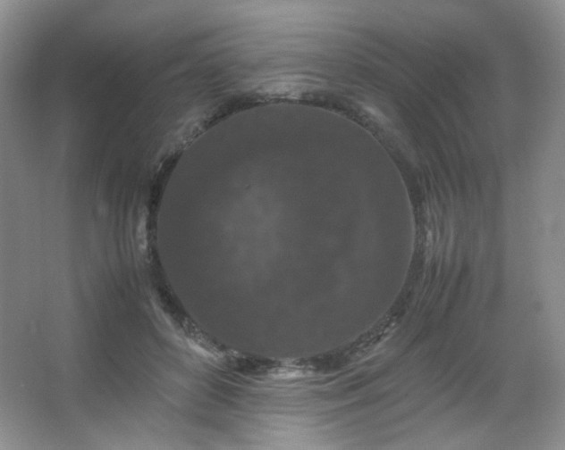 X0000067500504200604071230