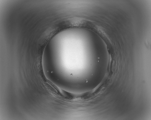 X0000067500505200604071230