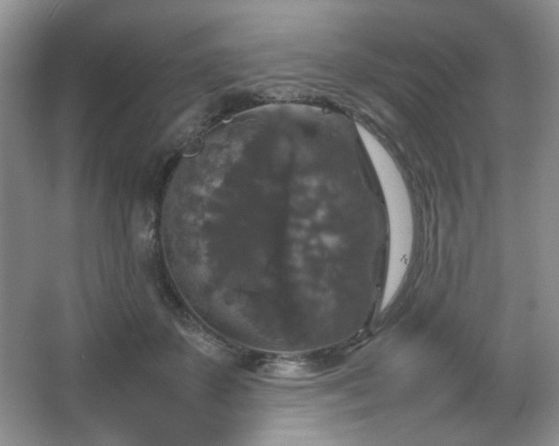 X0000067500507200604071230