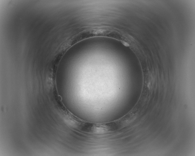 X0000067500510200604071230