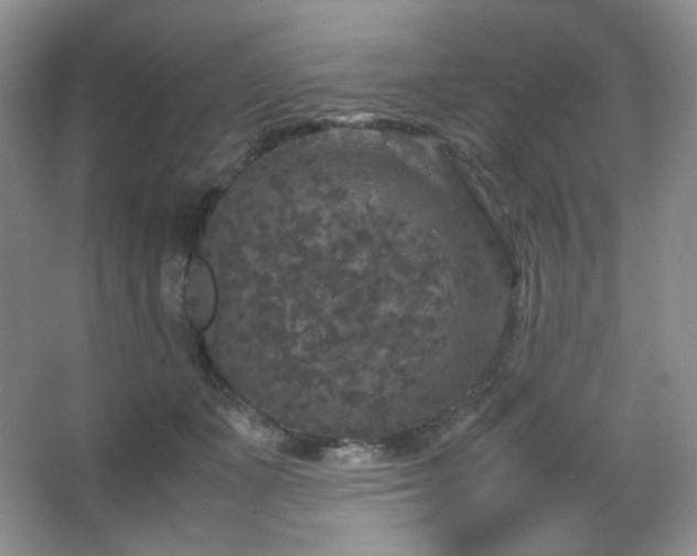 X0000067500511200604071230