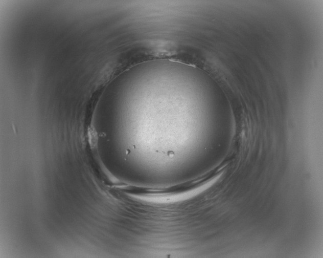 X0000067500512200604071230