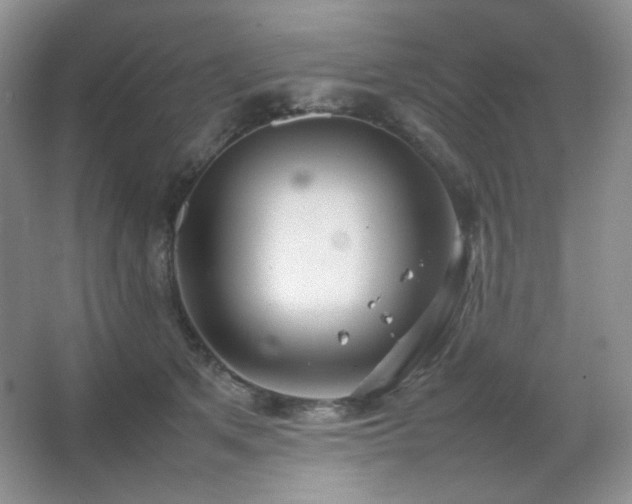 X0000067500513200604071230