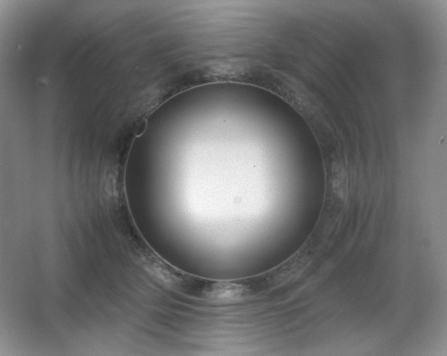 X0000067500514200604071230