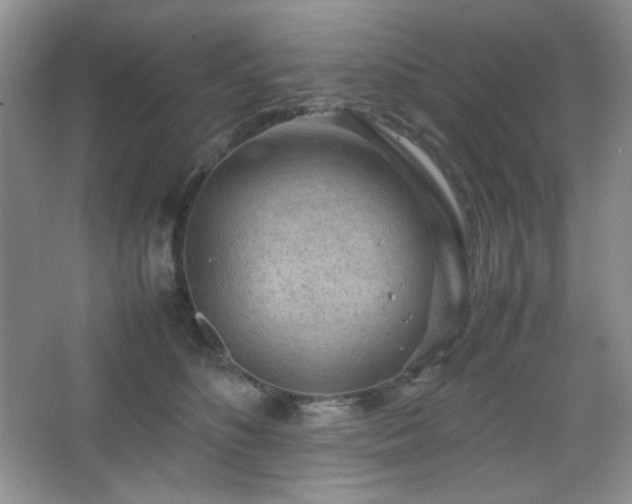 X0000067500516200604071230