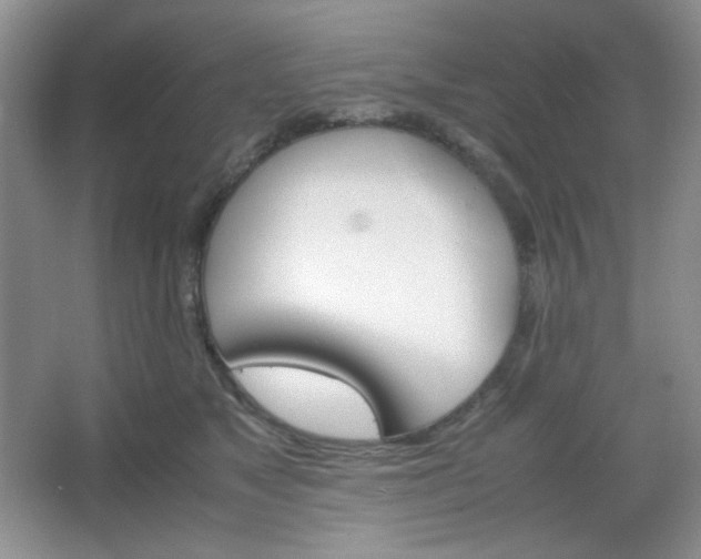 X0000067500517200604071229