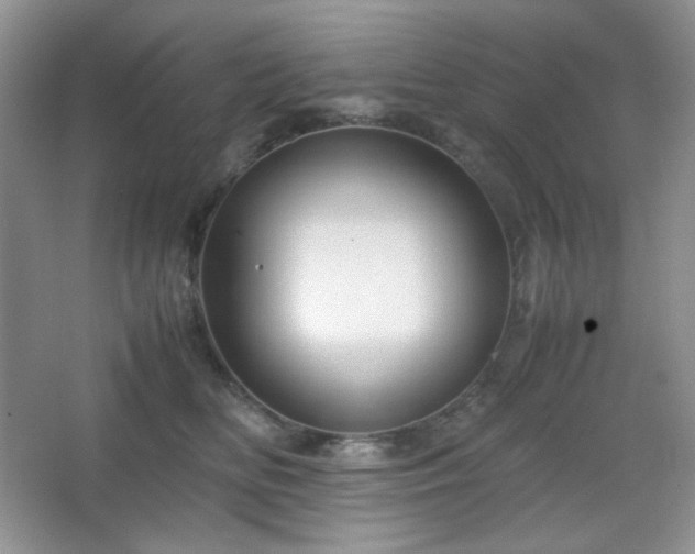 X0000067500518200604071229