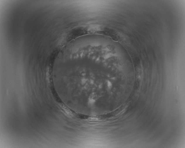 X0000067500519200604071229