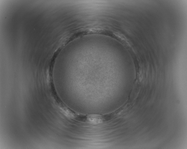 X0000067500520200604071229