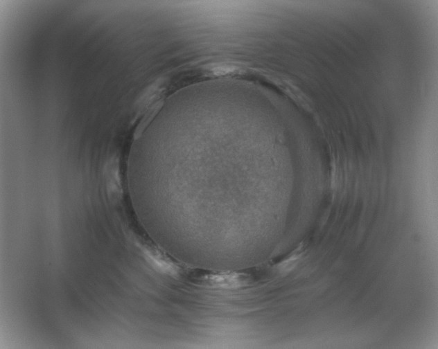 X0000067500524200604071229