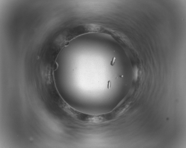 X0000067500525200604071229