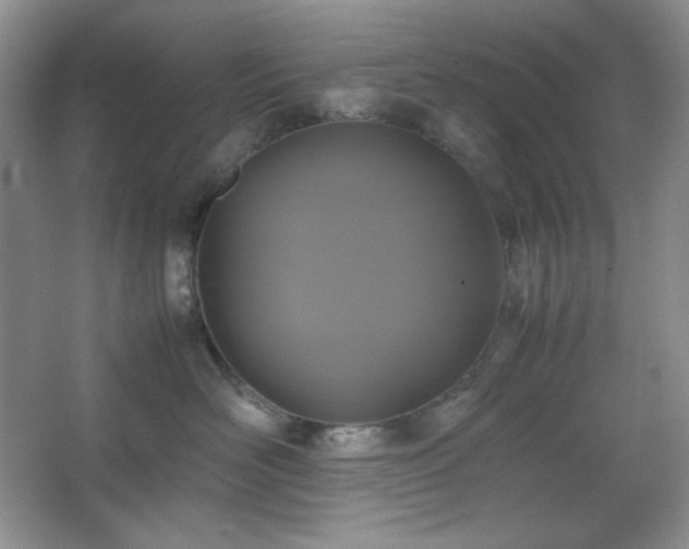 X0000067500526200604071229