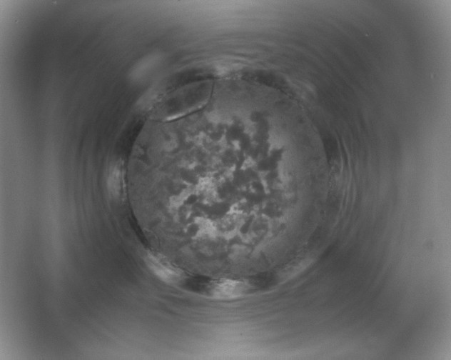 X0000067500527200604071229