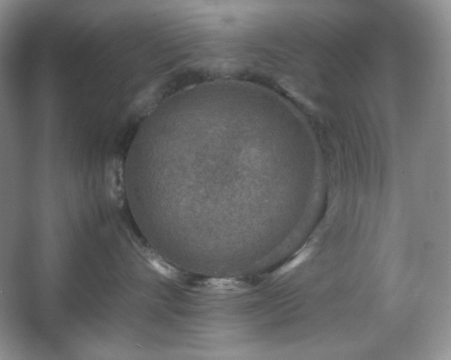 X0000067500528200604071229