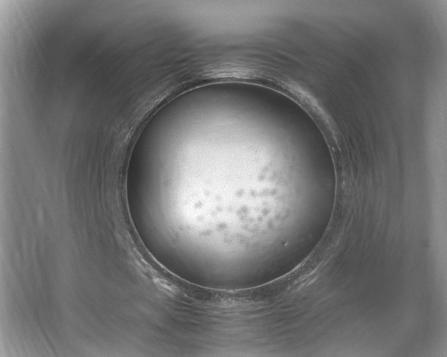 X0000067500529200604071228